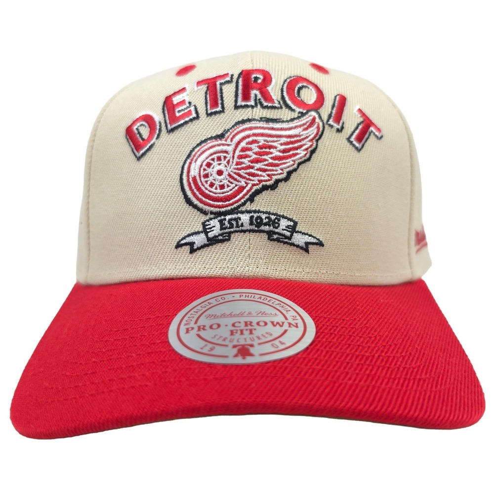 Detroit Red Wings Mitchell & Ness NHL Pro Fit Snapback Hat Cap 11X Champions NWT
